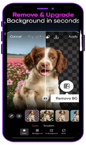 Background Removal
